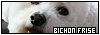 100x35 code