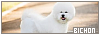 100x35 code