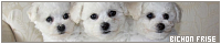 200x40 code