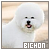 50x50 code