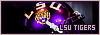100x35 code