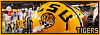 100x35 code