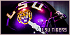 100x50 code