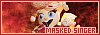 100x35 code