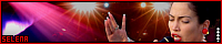 200x40 code