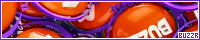 200x40 code