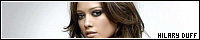 200x40 code