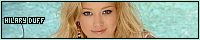 200x40 code