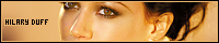 200x40 code