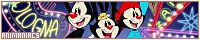 200x40 code