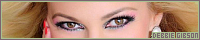 200x40 code
