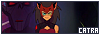 100x35 code