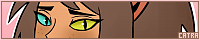 200x40 code