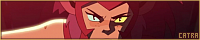 200x40 code