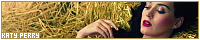 200x40 code