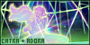 100x50 code