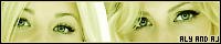 200x40 code