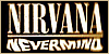 100x50 code