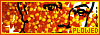 100x35 code