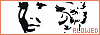 100x35 code
