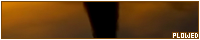 200x40 code