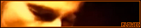 200x40 code