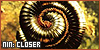 100x50 code