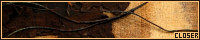 200x40 code