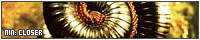 200x40 code
