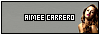 100x35 code