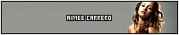 200x40 code