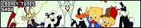 200x40 code