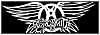 100x35 code