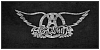 100x50 code