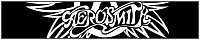 200x40 code