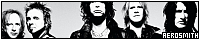 200x40 code