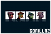 75x50 code