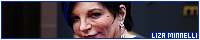200x40 code