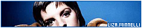 200x40 code