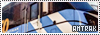 100x35 code