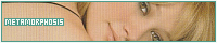 200x40 code