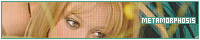 200x40 code