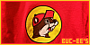 100x50 code