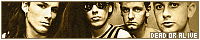 200x40 code