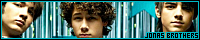 200x40 code