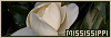 100x35 code