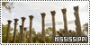 100x50 code