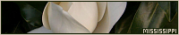 200x40 code