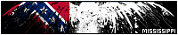 200x40 code