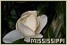 75x50 code